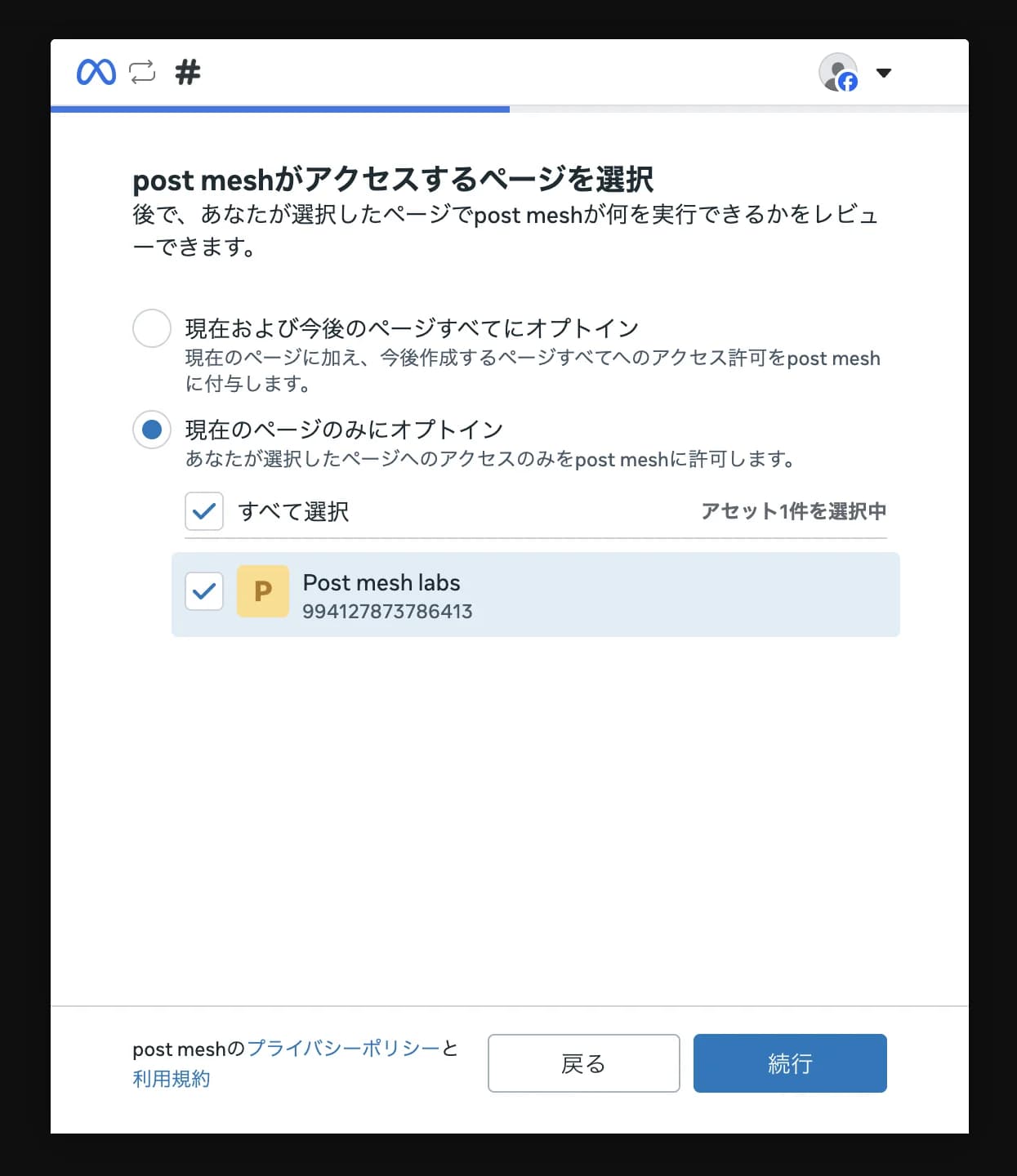 Facebookのページ選択画面。「現在のページのみにオプトイン」が選ばれ、投稿するページにチェックが入っている。「戻る」と「続行」のボタンがある